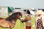 SBM_00463
