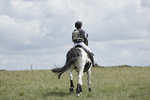 BVHT 140517  NXC -43