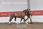 BPP_0758
