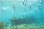 Tugboat dive and snorkel site, Curacao