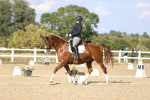 SBM_016038