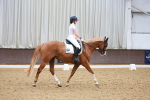 SBM_002608