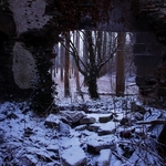 Woodland Ruin