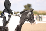 SBM_03621