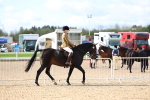 SBM_10041
