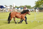 SBM_00452