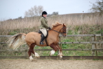 SBM_006078