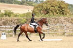 SBM_003540