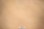 230429A-093344-00020