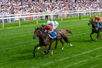 270626-Race 5-My Ballyquinn-0335