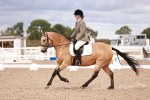 SBM_06340