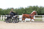 SBM_000748