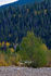 3HPhotography10-6-24_RMNP_0412_