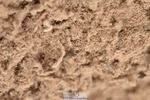 231011A-131456-00528
