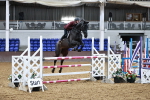 SBM_001777