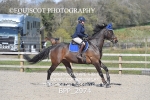 BPP_2974