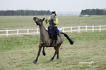 PtP 220122 81