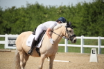 SBM_009639