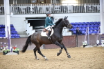 SBM_004126