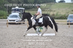 BPP_6195