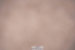 240802A-145038-05329