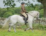 Dunblane show-630