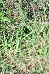 SBM_19553