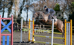 Senior Showjumping_10-11-2019-41