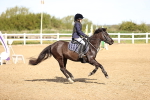 SBM_000372