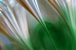 Green 2