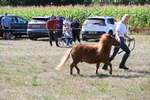 WJ6_4817
