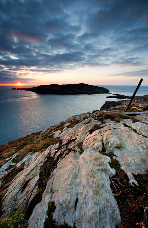 The Sound and Calf