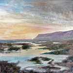 Robin Hood's Bay Rockpools