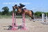 BPP_1029