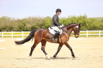SBM_007545