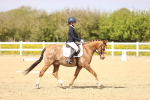 SBM_008449