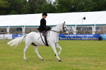SBM_02964