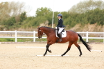 SBM_001016