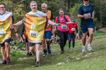 Dovedale-2048