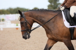 SBM_05575