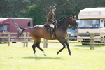 SBM_16271