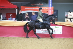 SBM_09631