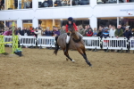 SBM_004736