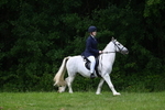 WJ7_2005