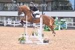 BPP_8551