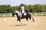 SBM_008611
