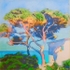 Mediterranean Pine