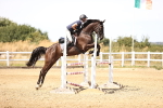 SBM_000945