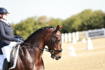 SBM_016889