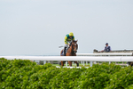040526-Race 8-Coolree-4391